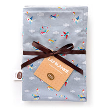 Flying High Lap Blankie