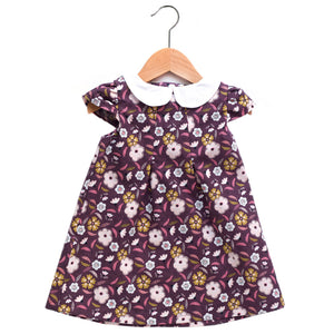 Captivate Plum Peter Pan Collar Dress