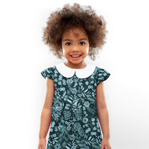 Winter Garden Peter Pan Collar Dress