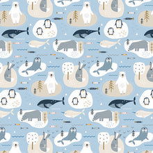 Habitat Arctic Gift Set