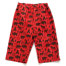 High Adventure Pants